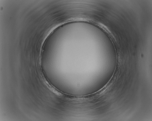 X0000067831236200604271546