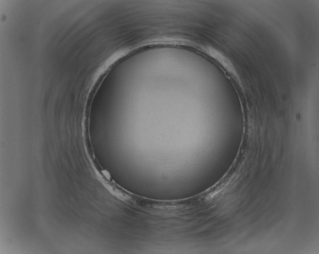 X0000067831237200604271546