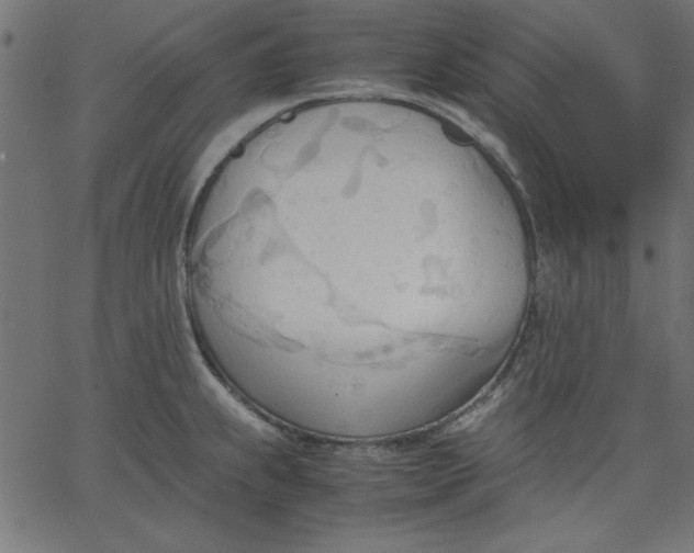 X0000067831239200604271546