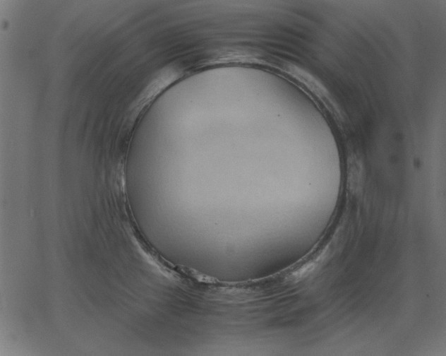 X0000067831241200604271546