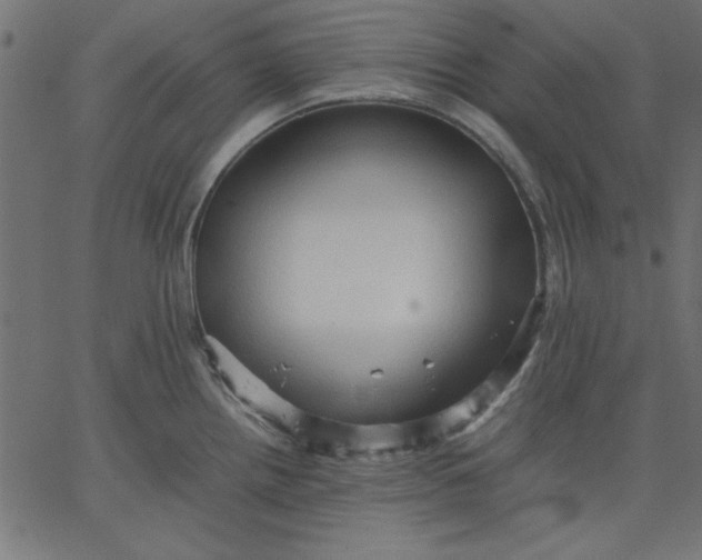 X0000067831242200604271546