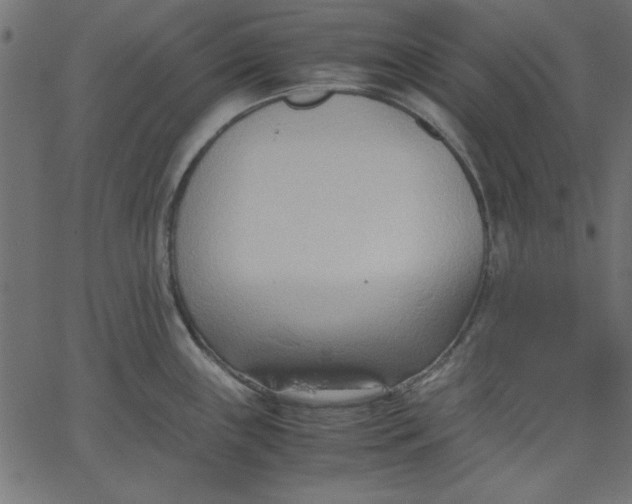 X0000067831243200604271546