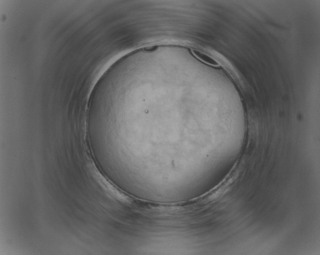 X0000067831244200604271546