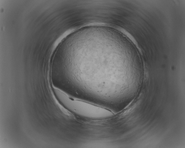 X0000067831245200604271546