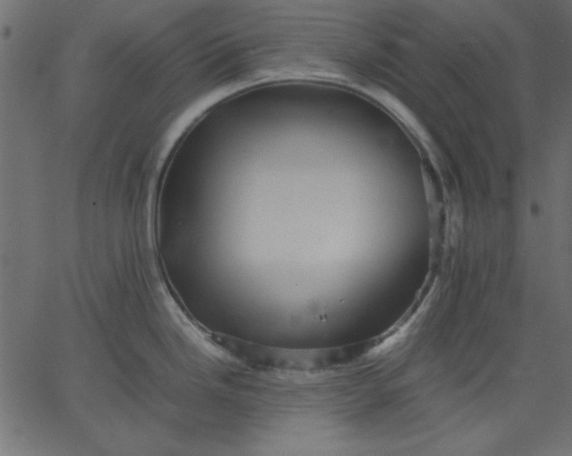 X0000067831246200604271546