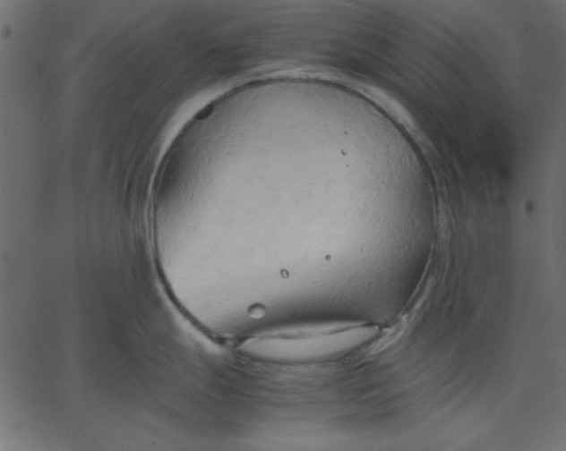 X0000067831247200604271546