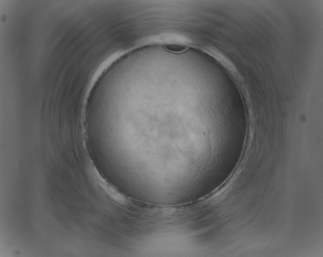 X0000067831248200604271546