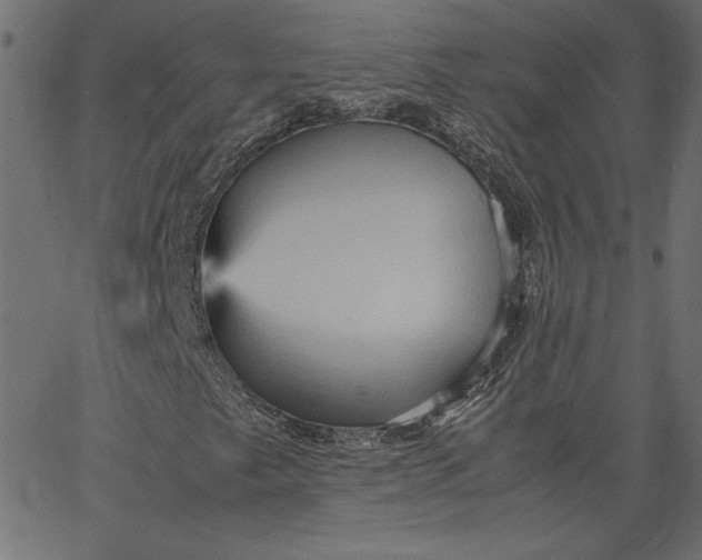 X0000067831249200604271545