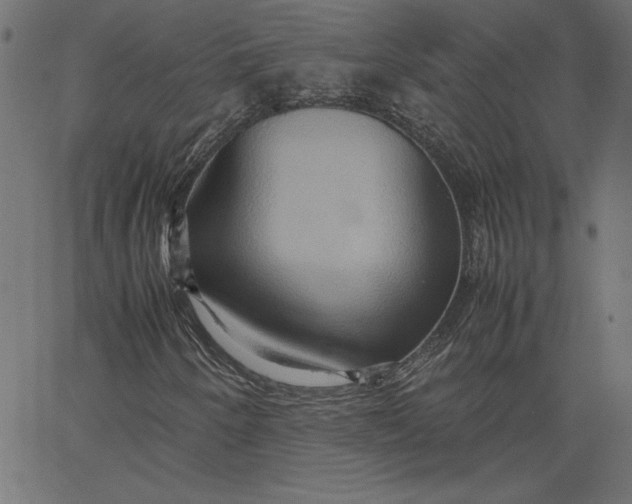 X0000067831250200604271545