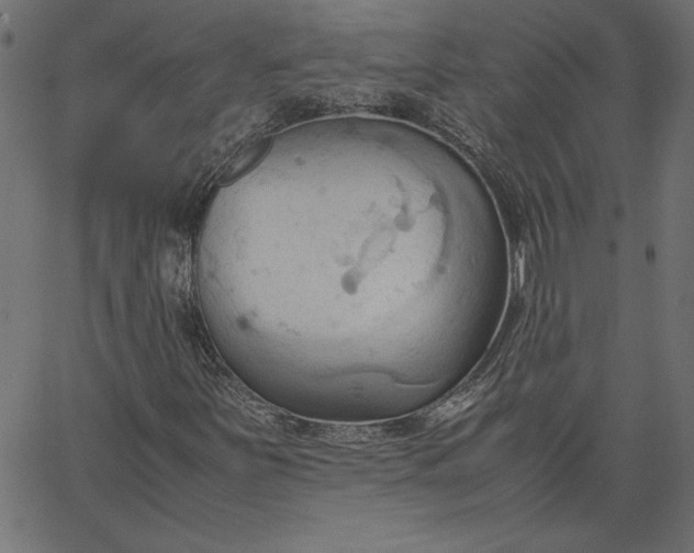 X0000067831251200604271545