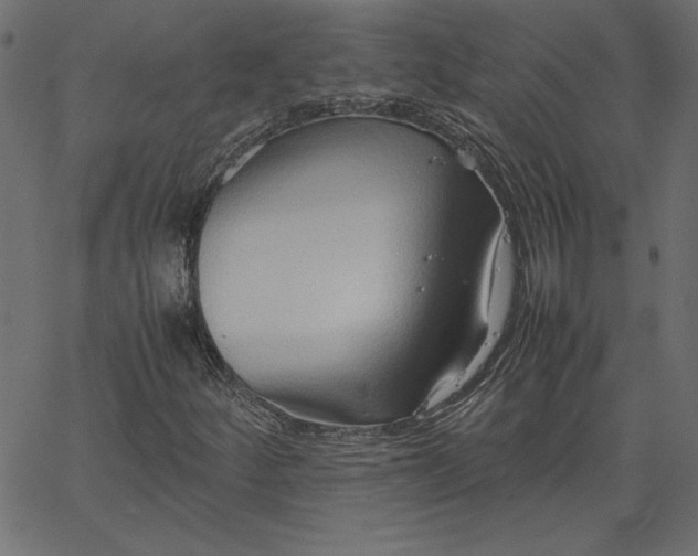 X0000067831252200604271545