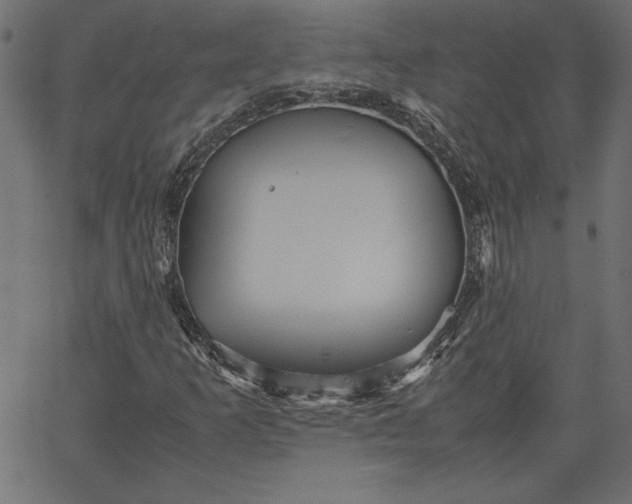 X0000067831253200604271545