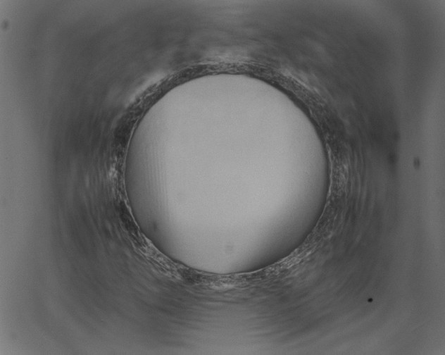 X0000067831254200604271545