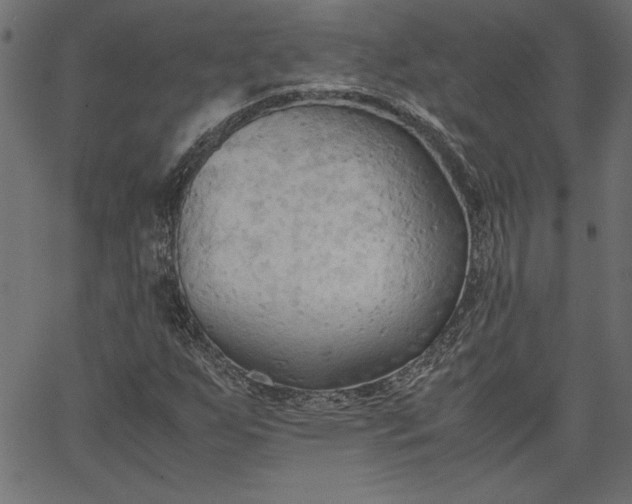 X0000067831255200604271545