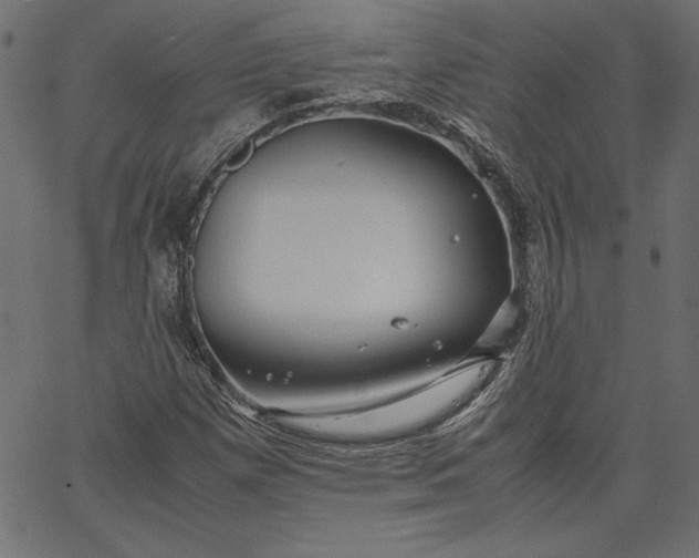 X0000067831257200604271545