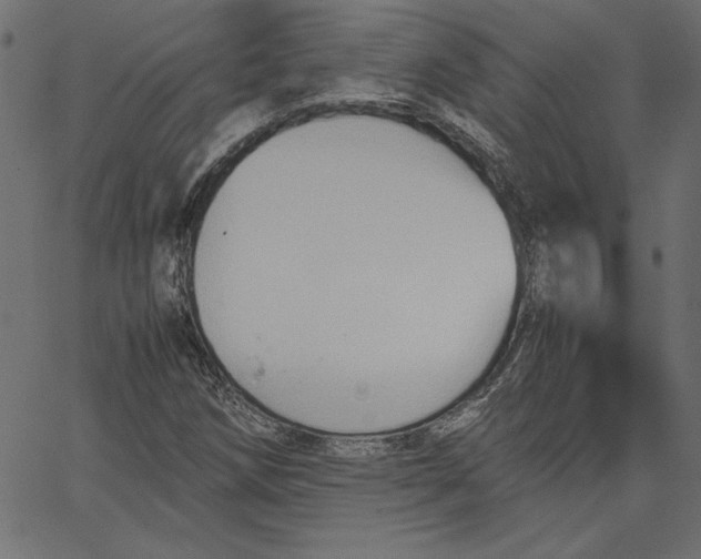 X0000067831258200604271545