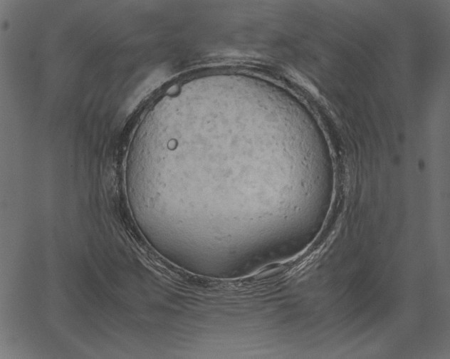 X0000067831259200604271545