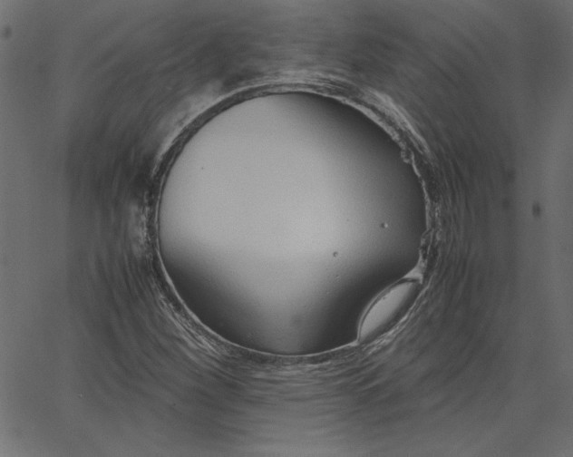 X0000067831260200604271545