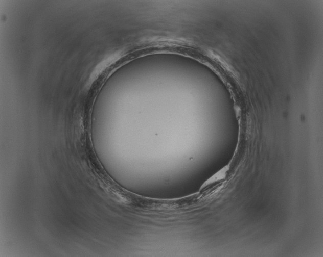 X0000067831261200604271545