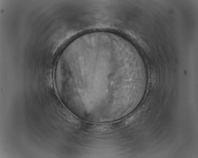 X0000067831262200604271545