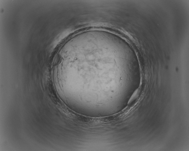 X0000067831263200604271545