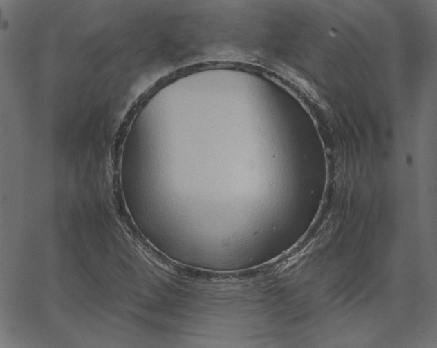 X0000067831264200604271545