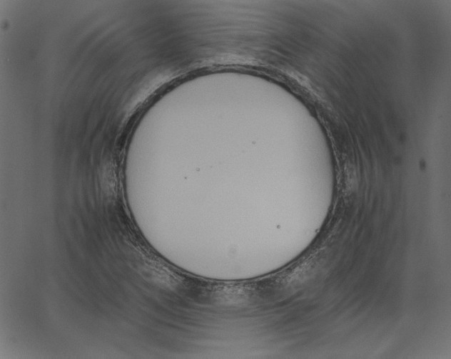 X0000067831266200604271545