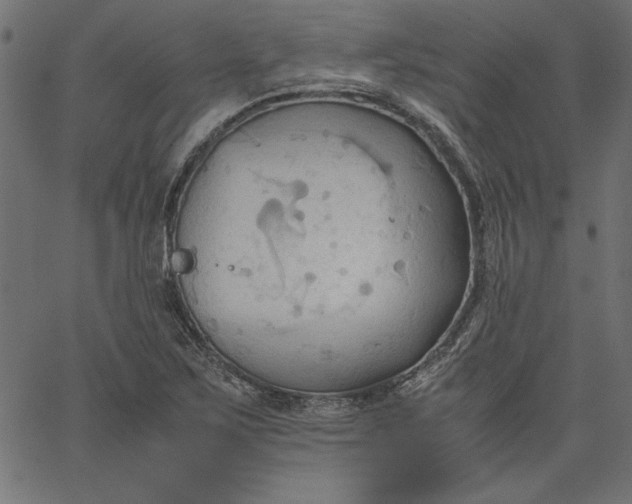 X0000067831267200604271545