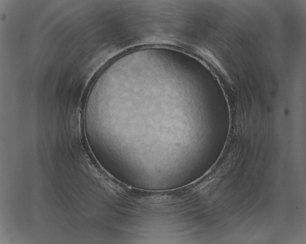 X0000067831268200604271545