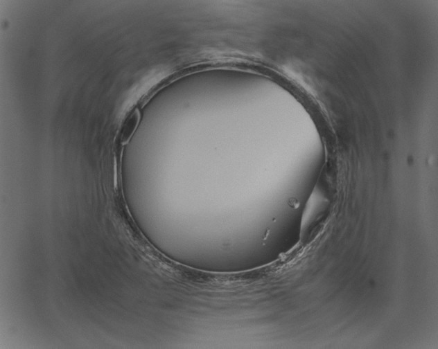 X0000067831269200604271545