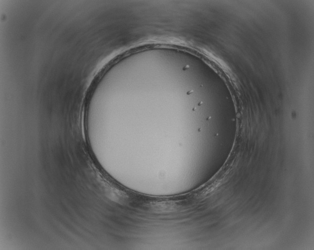 X0000067831272200604271545