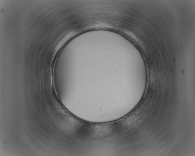 X0000067831274200604271545