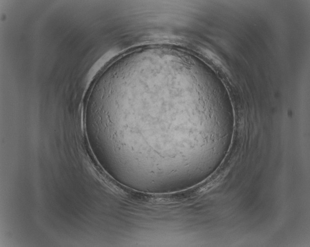 X0000067831275200604271545