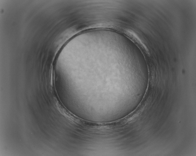 X0000067831276200604271545