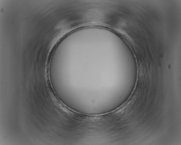 X0000067831278200604271545