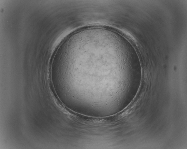 X0000067831279200604271545