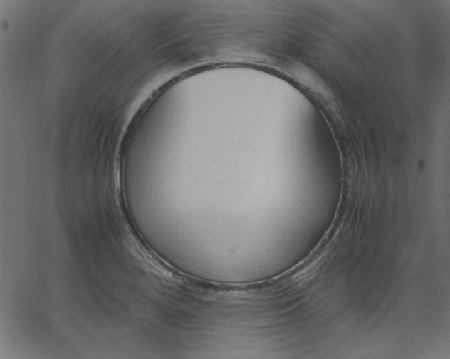 X0000067831280200604271545