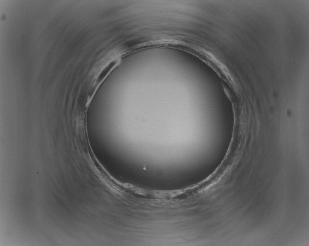 X0000067831281200604271545