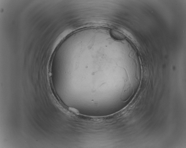 X0000067831283200604271545