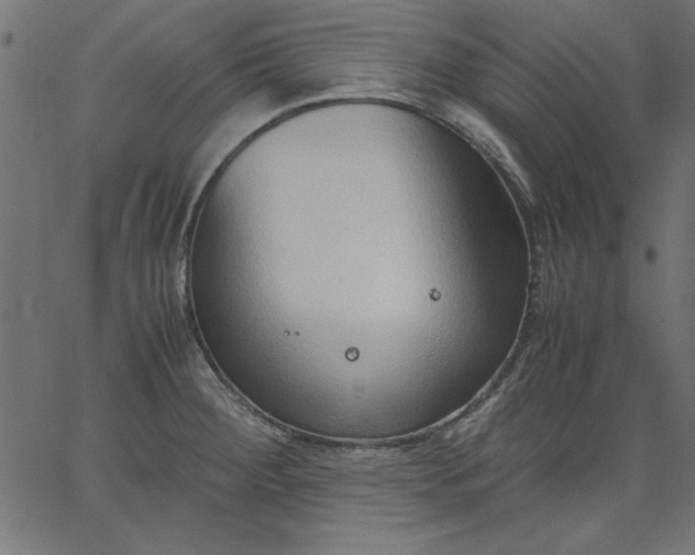 X0000067831284200604271545