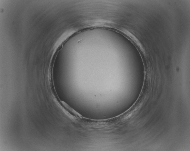 X0000067831285200604271545