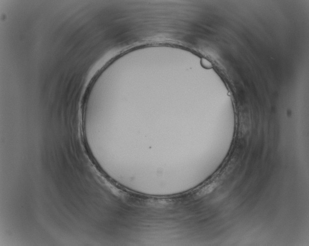 X0000067831286200604271545