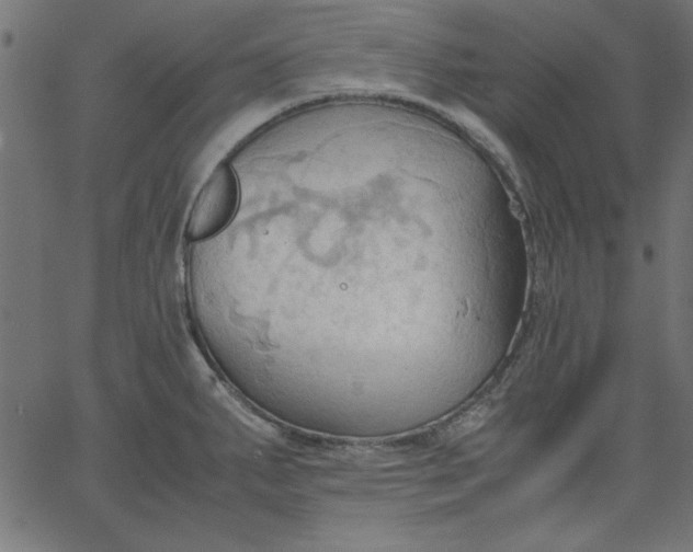 X0000067831287200604271545