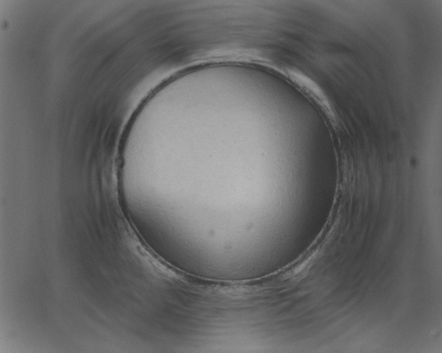 X0000067831288200604271545