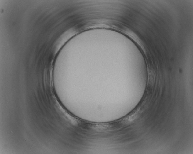 X0000067831290200604271545