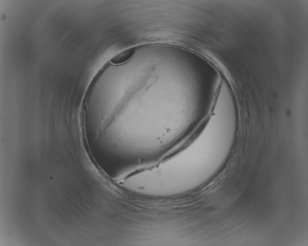 X0000067831291200604271545