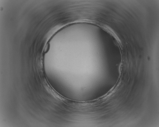 X0000067831292200604271545