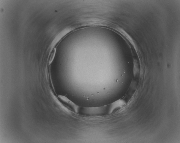 X0000067831293200604271545