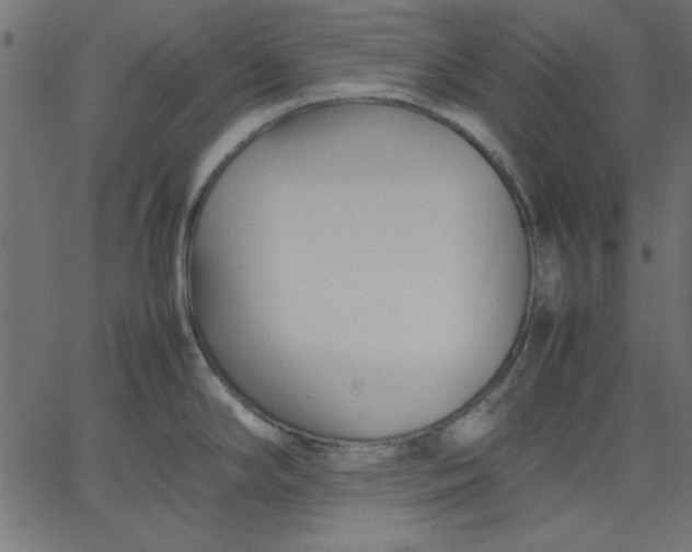 X0000067831294200604271545