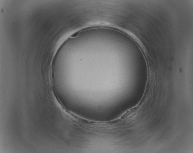 X0000067831295200604271545